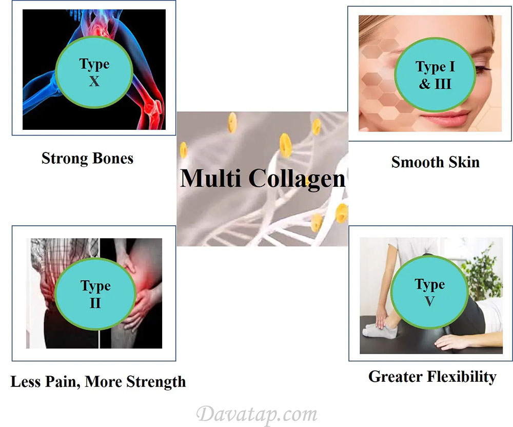 انواع کلاژن و تاثیرات آن بر بدن