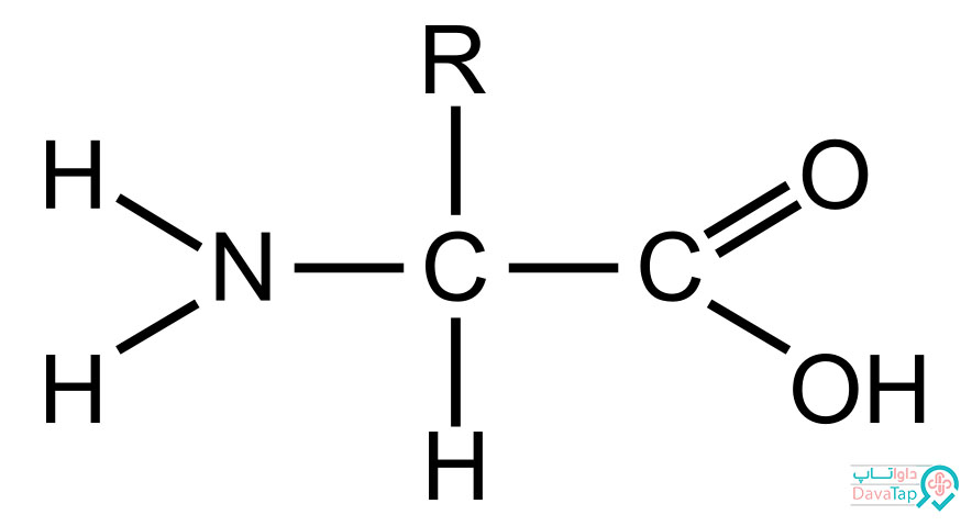 ساختار آمینو اسید