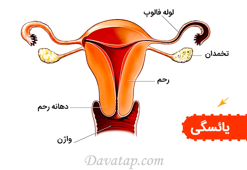 یائسگی در زنان